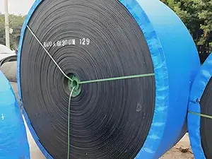 Banda Transportadora Resistente al Frío